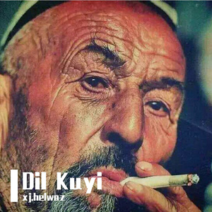 Dil Kuyi