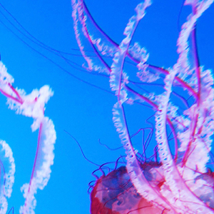 Breathing Surface Air (feat. Dave Palmer)