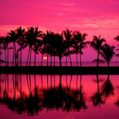 喜羊羊爱上灰太狼 (DJ QQ版)