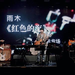 梦想与少年（Live）