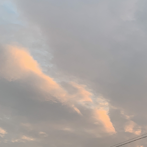 都市丽人生存报告（片段）
