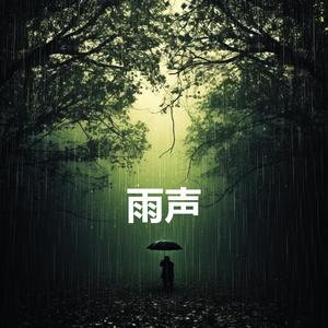 非常适合睡觉的大暴雨 · 最适合睡觉的雨声 · 深度睡眠雨声 - 助眠雨声帮助严重失眠人群 · 雷雨声催眠纯音乐