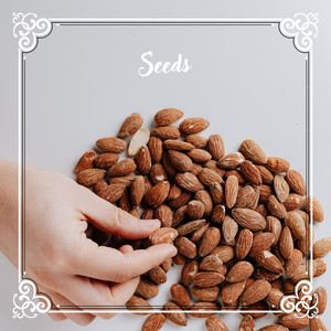 Seeds N° 1