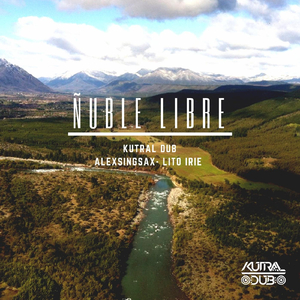Ñuble Libre