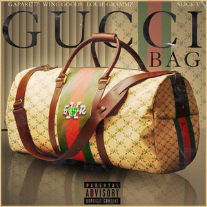 GUCCI BAG (Stripped)