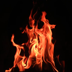 My House Is Not A Home