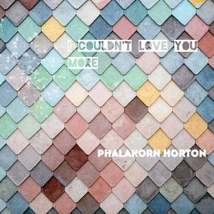 I Couldn't Love You More