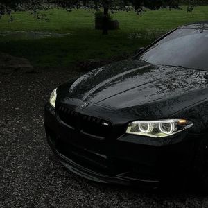 心向自由至远方