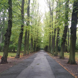 Не зная (one take 2017 edition)