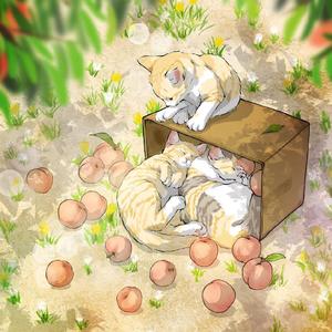 时候（翻自 苏运莹）
