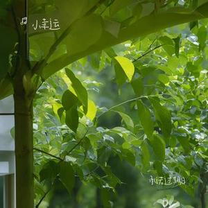 承诺过期日