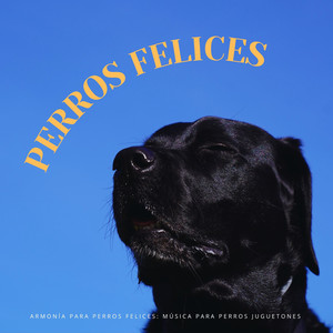 Alegría De Patas Juguetonas