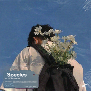 90's R&B Type Beat "Species"