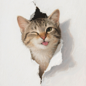 勇敢无敌小菜菜