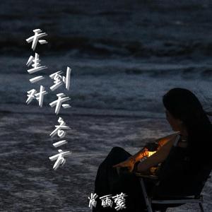 天生一对到天各一方