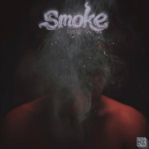 Perdus Dans La Fumée