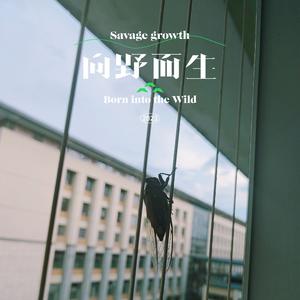 橙夏（prod.by Morrow）