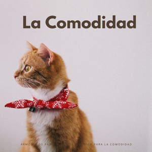 Fanfarria De Amigos Felinos