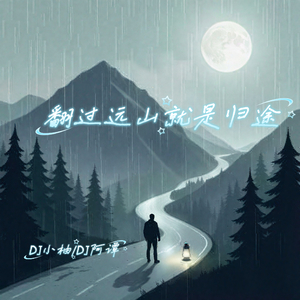 翻过远山就是归途(DJ空灵鼓版)