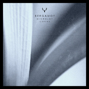 Bergamot (Original Mix)