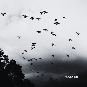 Tamed (Demo Version)