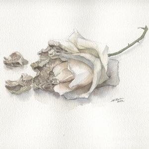 deflower (feat. Kieran Aldrin)