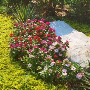 Spring Fairy Tale