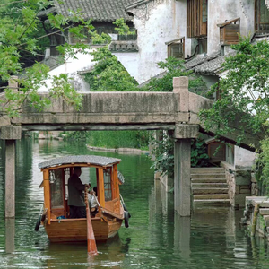 山茶花