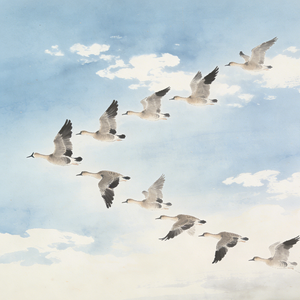 天高云淡望断南飞雁