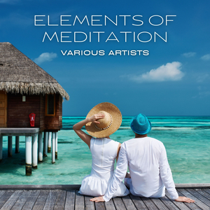 Every Night Every Day