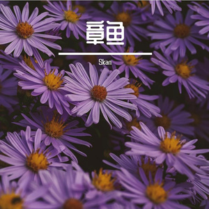 章鱼