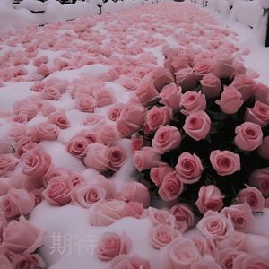 기대해(期待)expectation（翻自 Girl's Day）