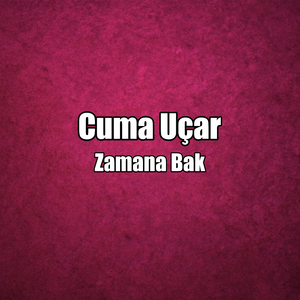 Zamana Bak