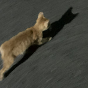 呼吸决定(全世界晚安版)