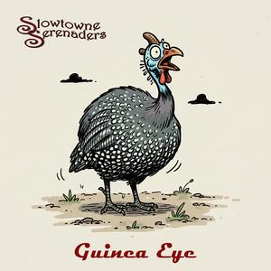 Guinea Eye