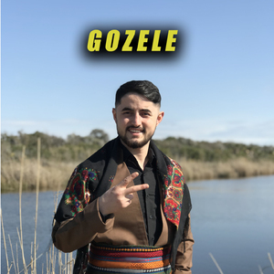 Gozele (Delilo)