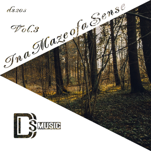 The Lost Ghost (Original Mix)