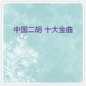 二泉映月 (二胡独奏)