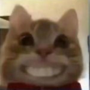 Long run! (feat. Javin)