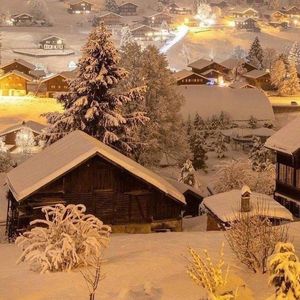 我用情付诸流水