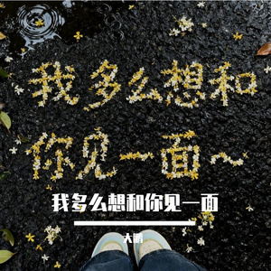 我多么想和你见一面