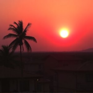 Função da Dor Melodia 19