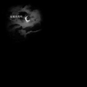 来不及（翻自 刘瑞琪）