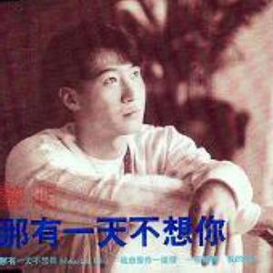 我会像你一样傻