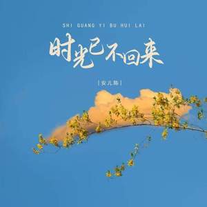 时光已不回来