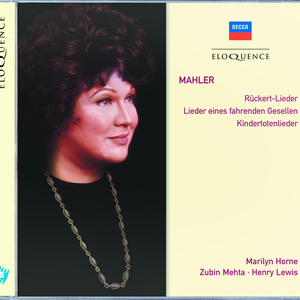 Rückert - Lieder:Blicke mir nicht in die Lieder