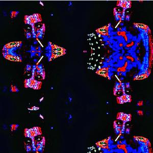 Do What I Want (When I Want)