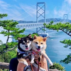 我在昨天的梦里又想起了你