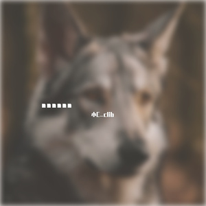 我并不是那么坚强-小c