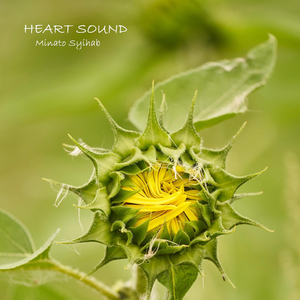 Heart Sound